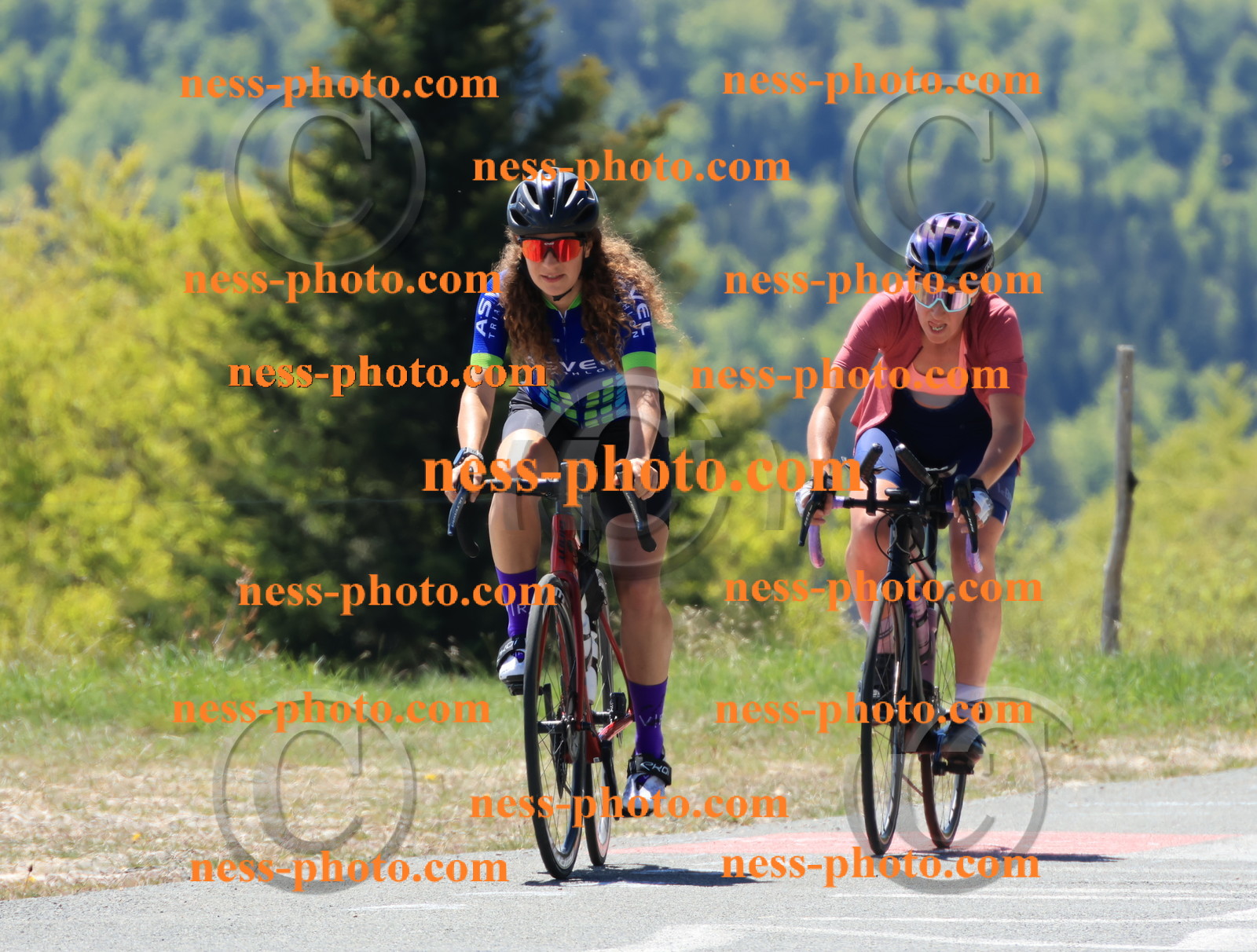 Col du Grand Colombier (221).JPG