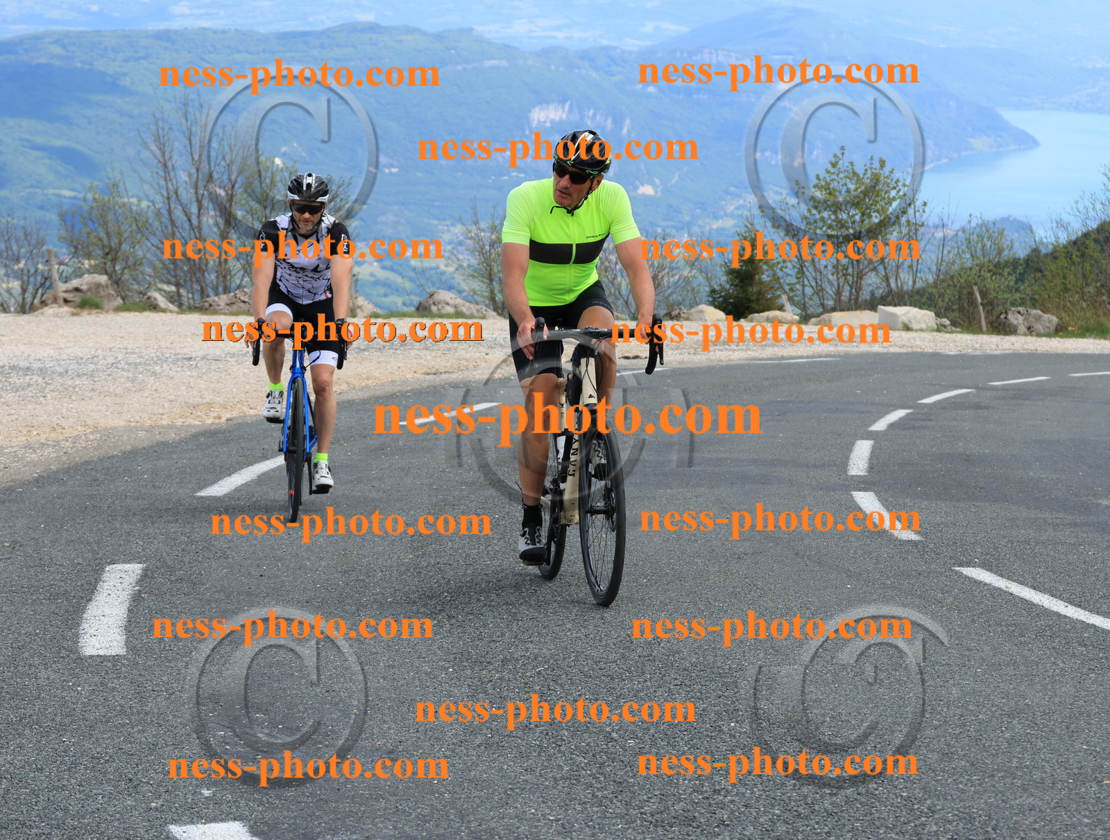 Col du grand Colombier (671).JPG