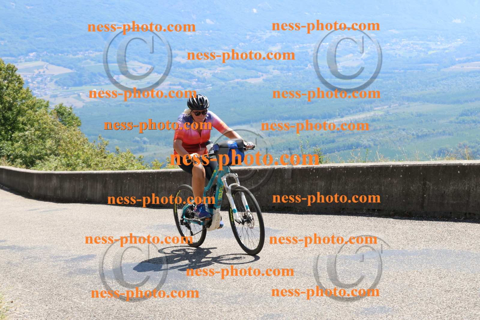 Col du Grand Colombier (482).JPG