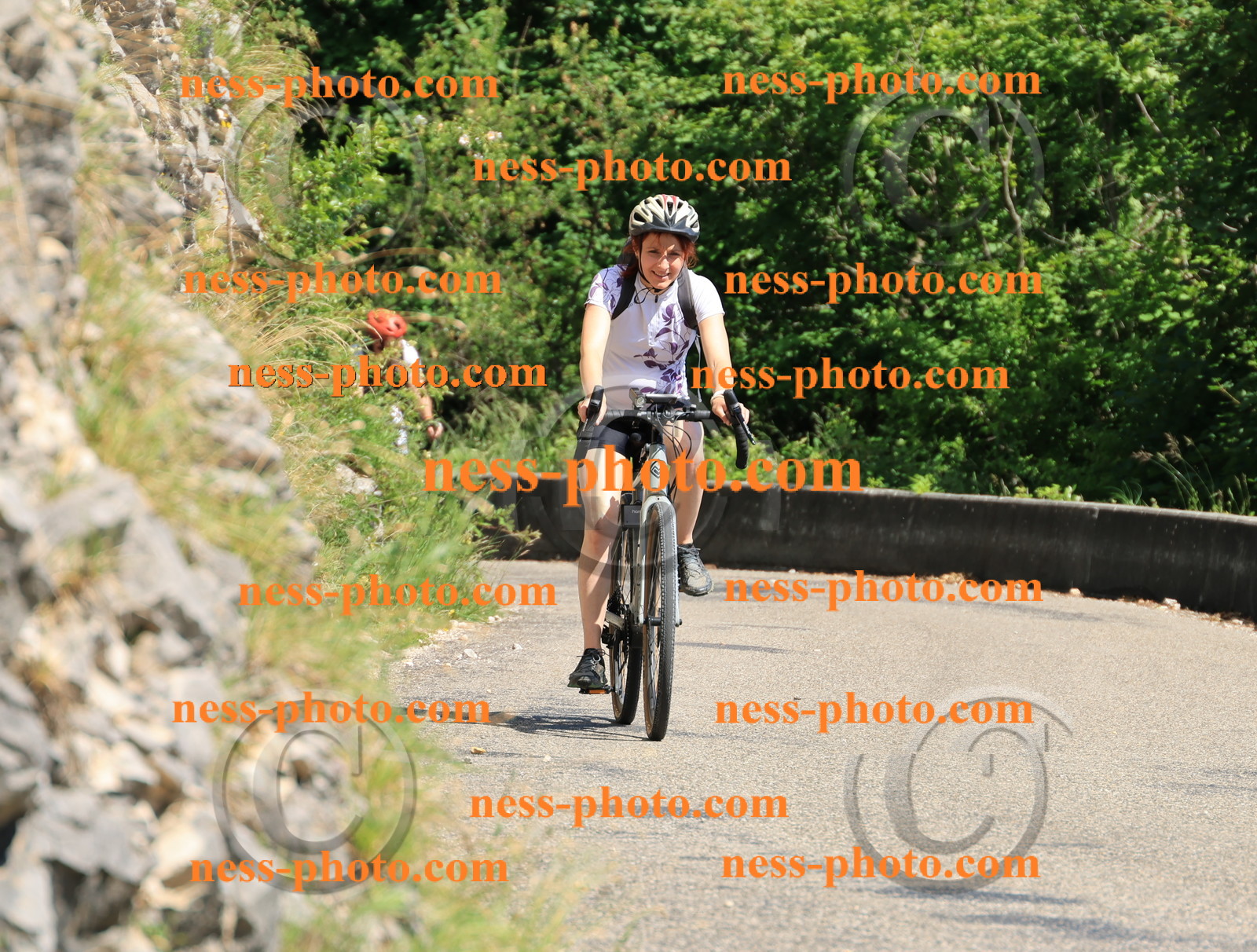 Col du Grand Colombier (718).JPG