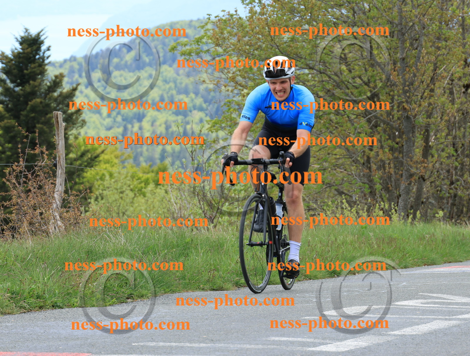 Col du Grand Colombier (552).JPG