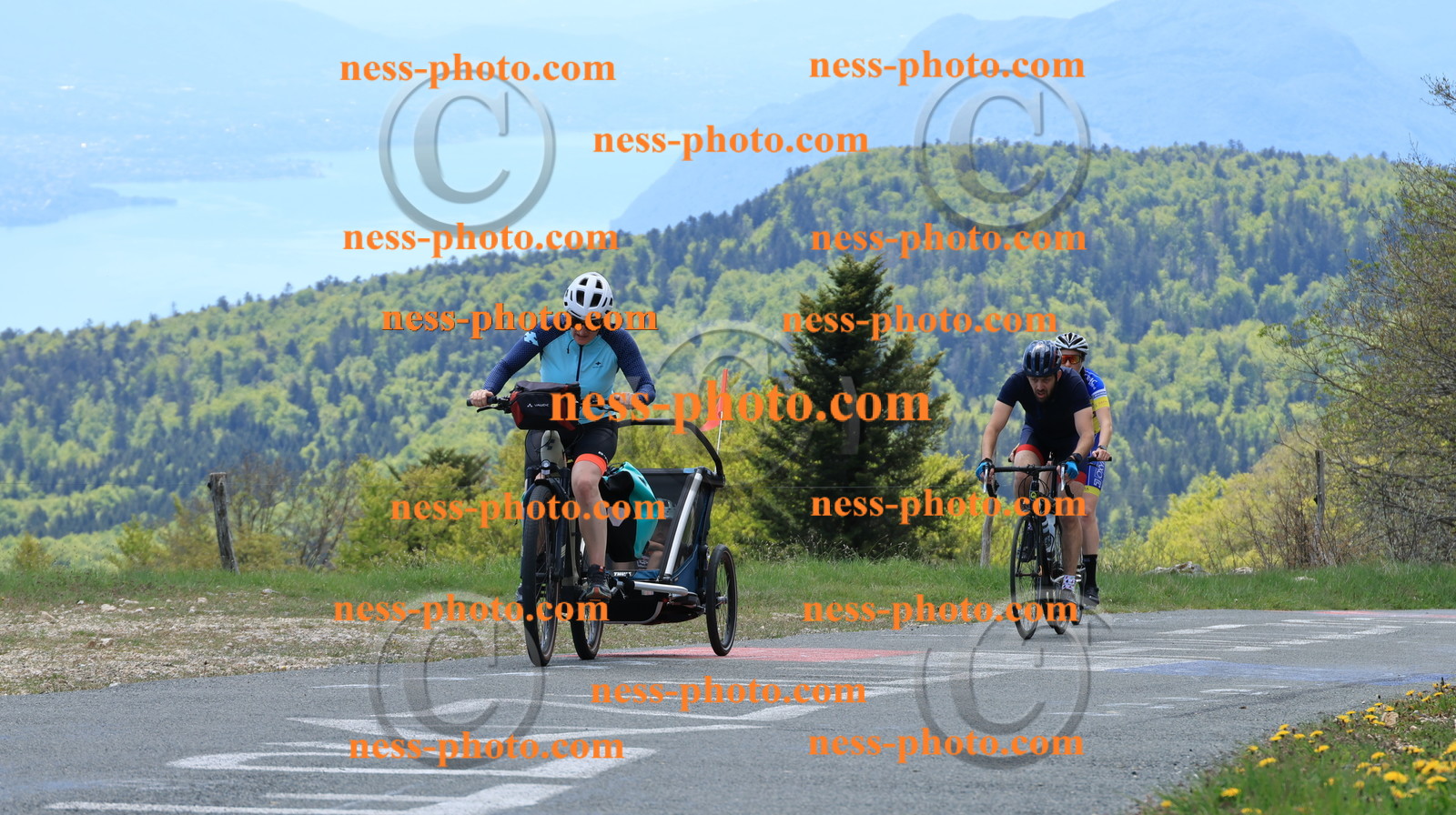 Col du grand Colombier (245).JPG