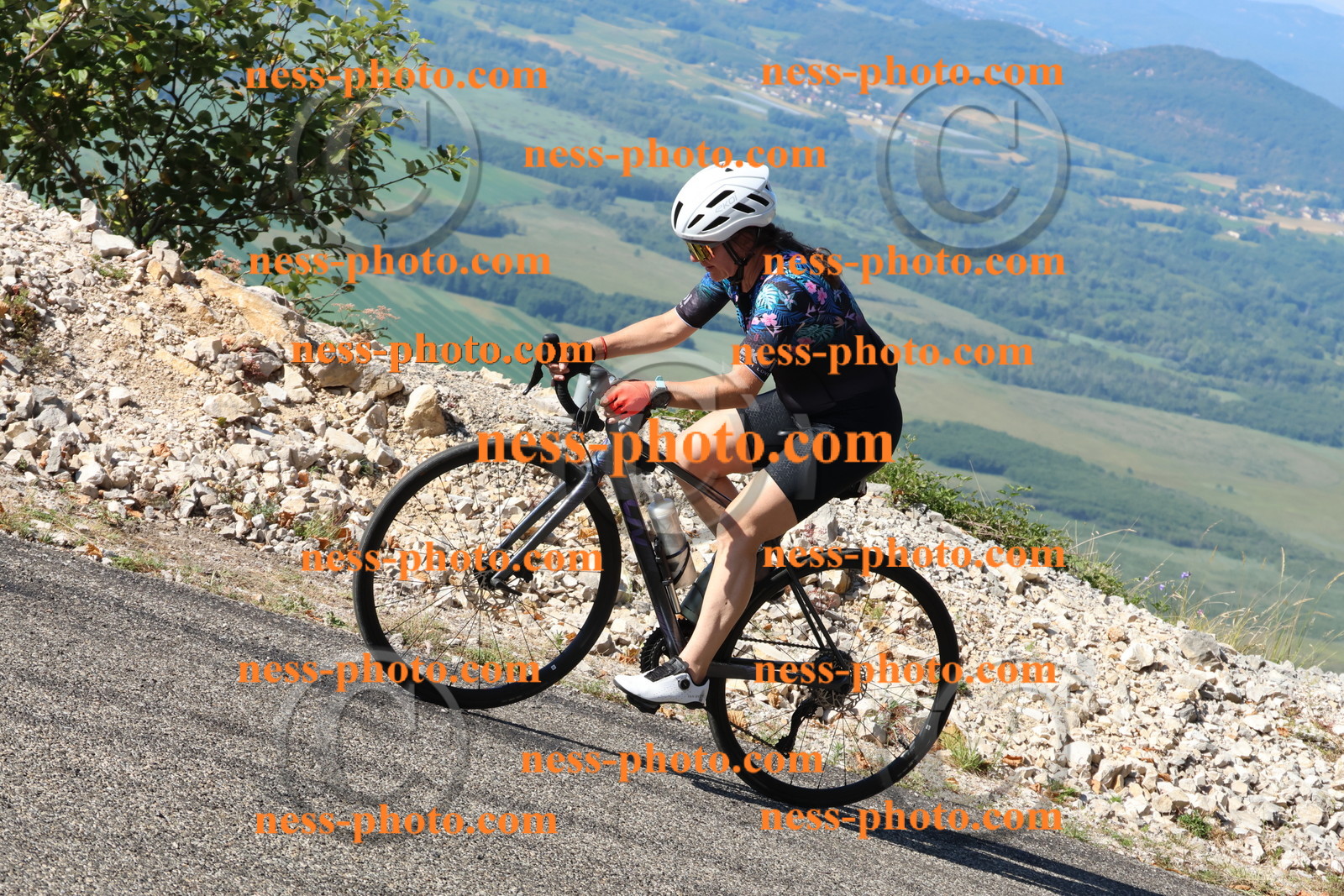 Col du Grand Colombier (1386).JPG