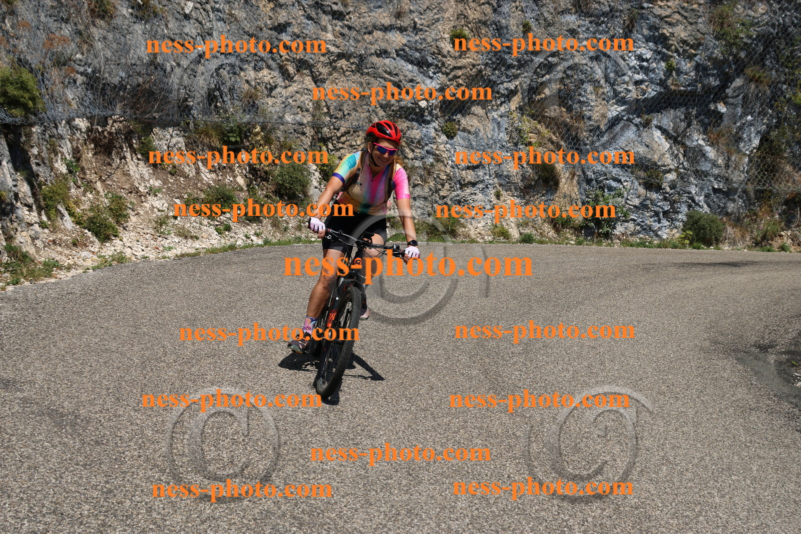 Col du Grand Colombier (349).JPG