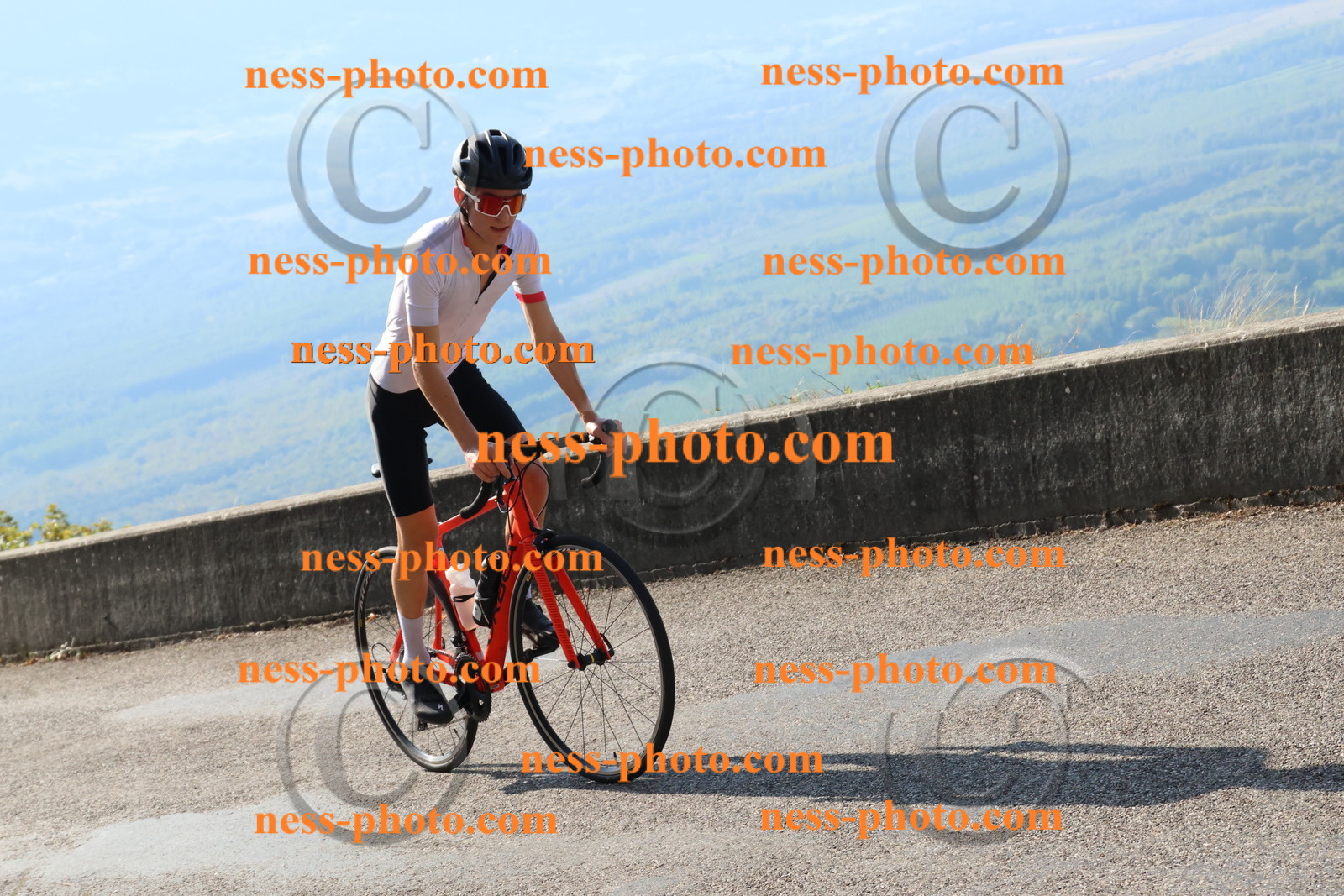 Col du Grand Colombier (1272).JPG