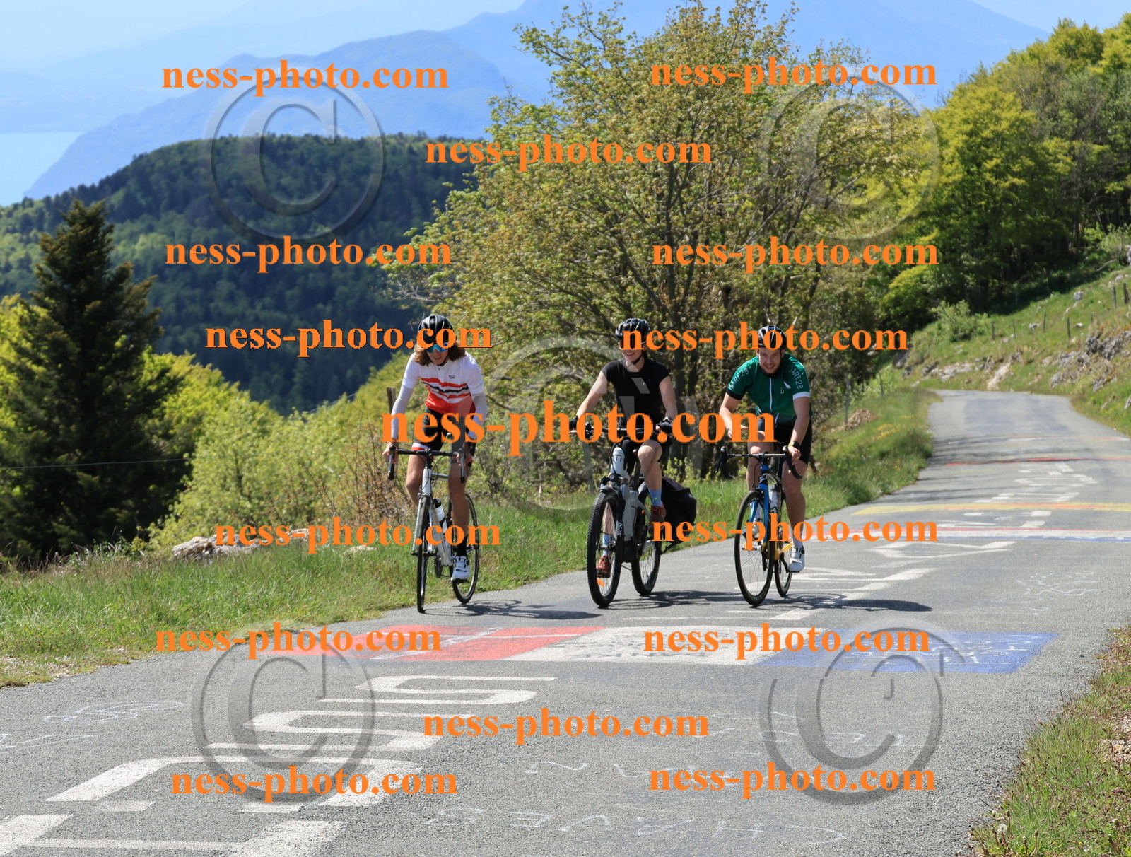 Col du Grand Colombier (43).JPG