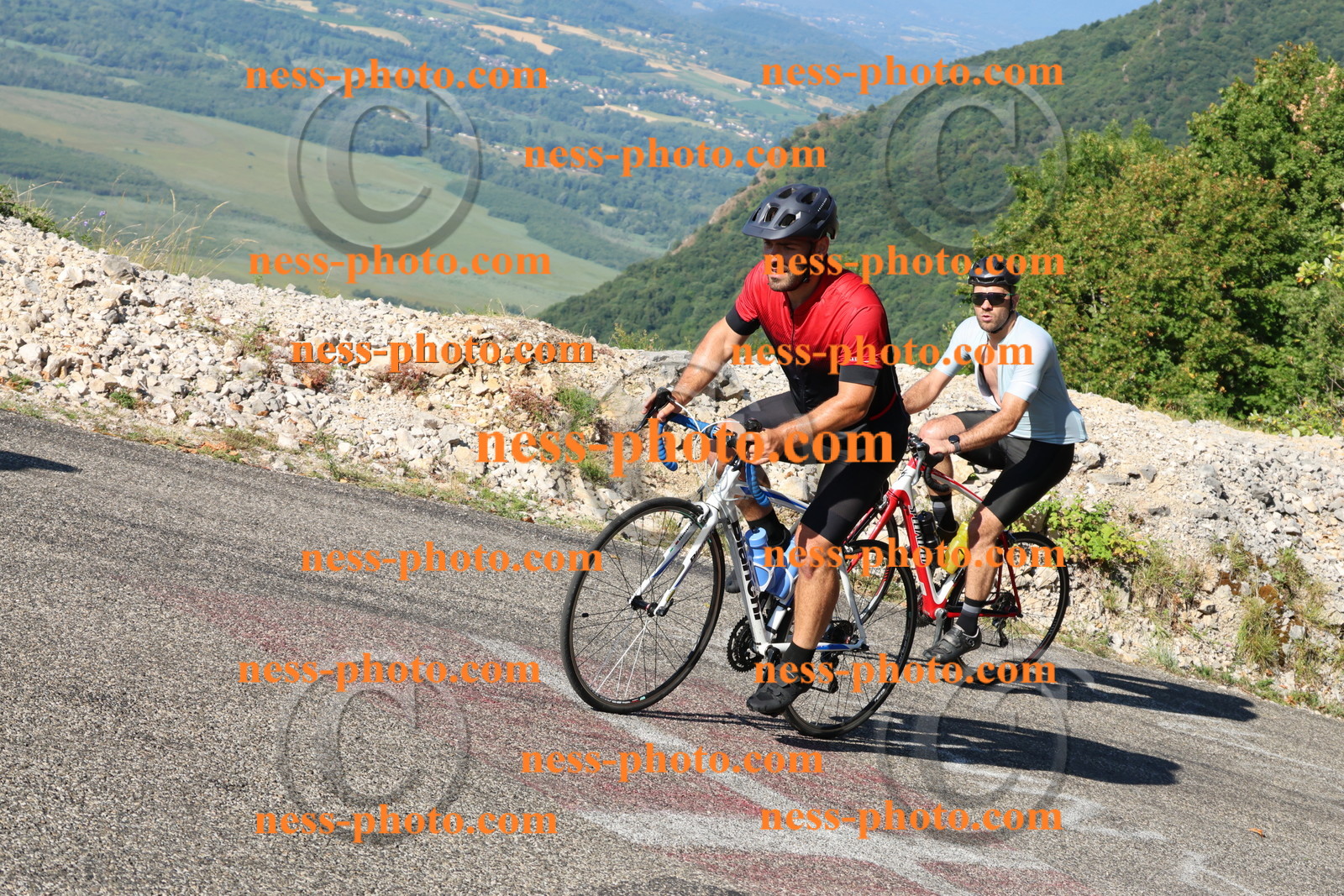 Col du Grand Colombier (835).JPG