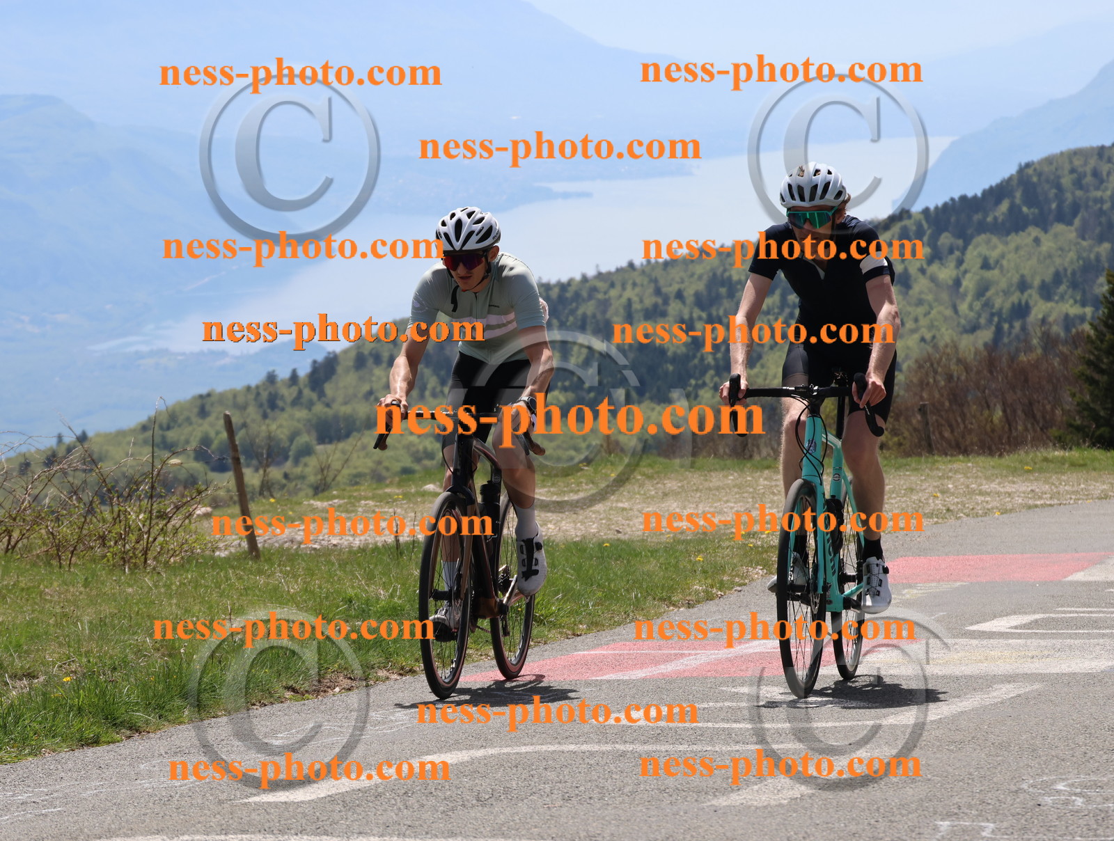 Col du Grand Colombier (238).JPG