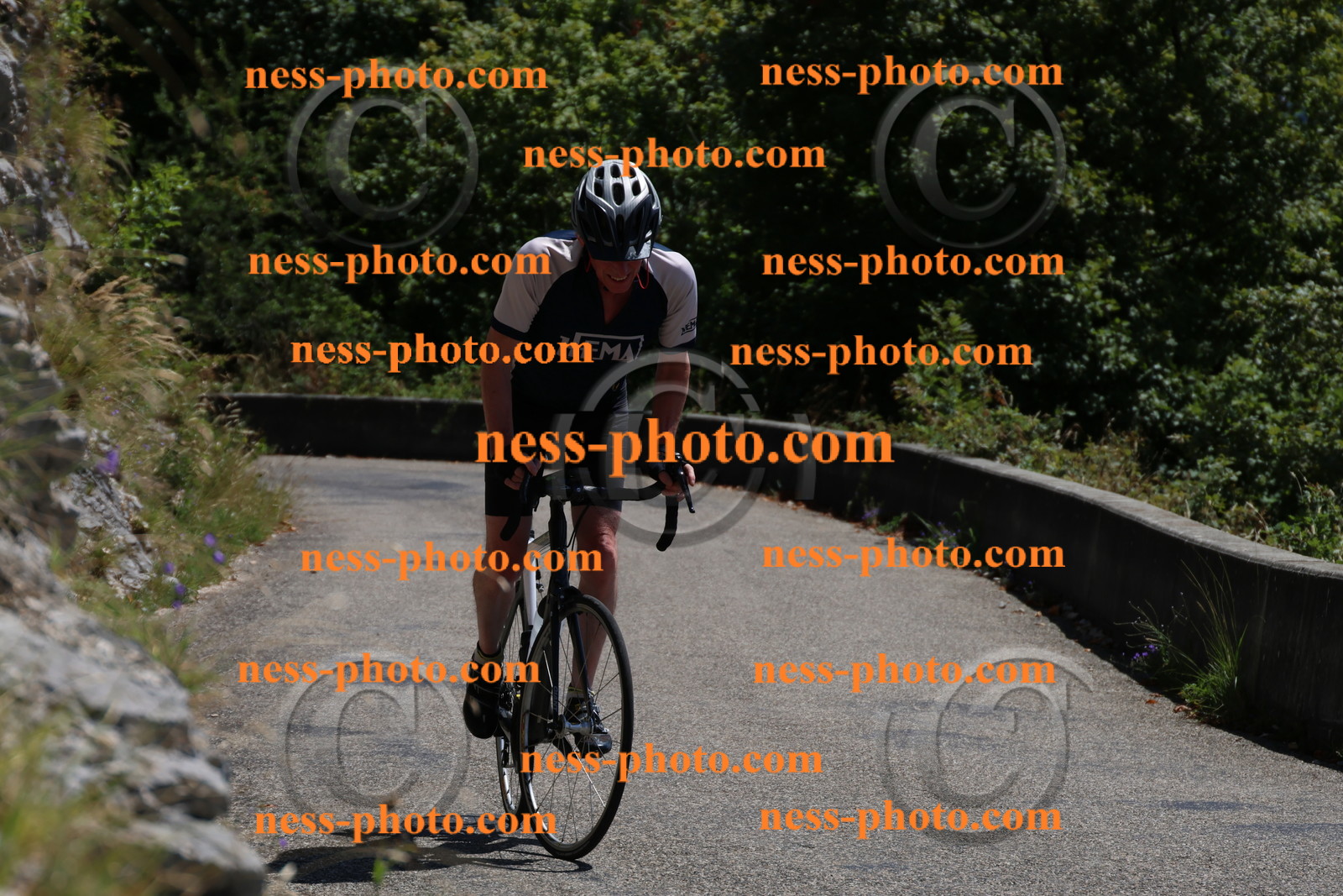 Col du Grand Colombier (314).JPG