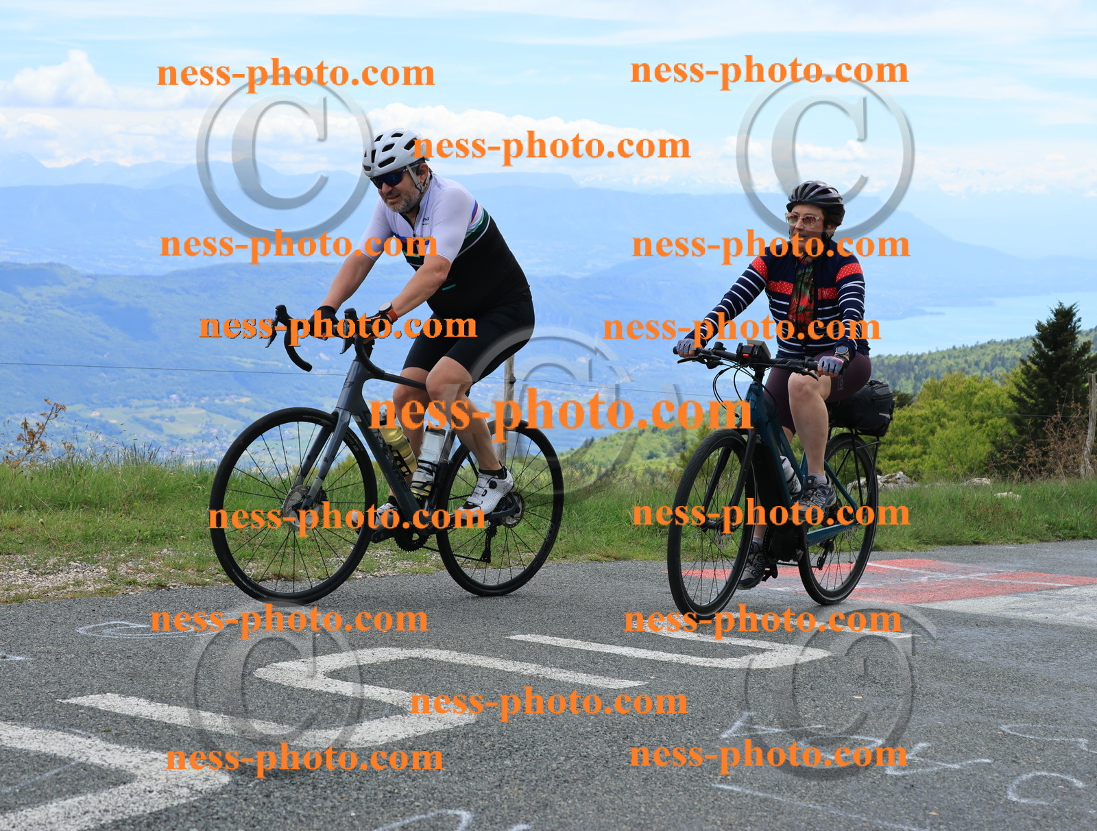 Col du Grand Colombier (574).JPG