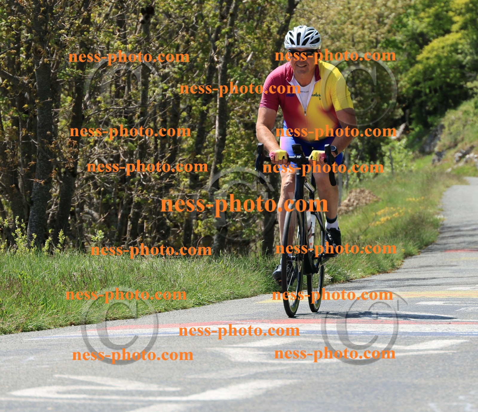 Col du Grand Colombier (85).JPG