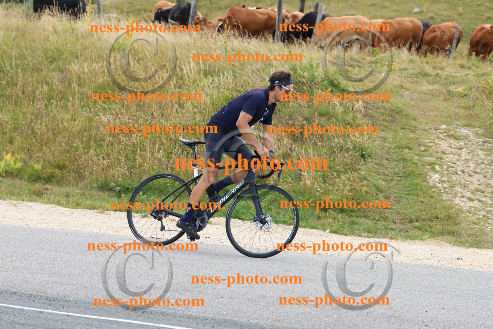 Col du Grand Colombier (248).JPG