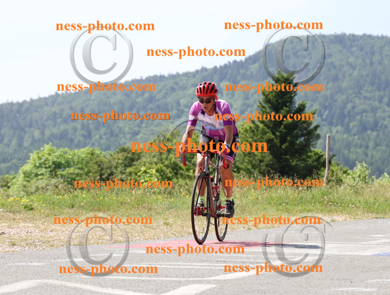 Col du grand Colombier (1265).JPG