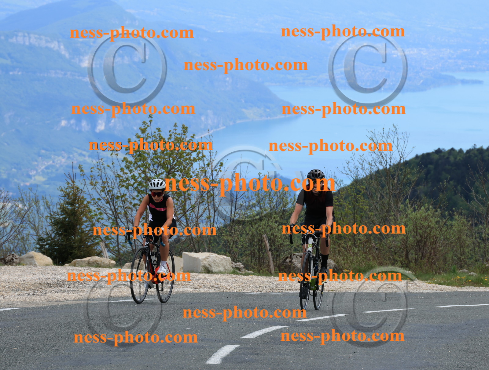 Col du grand Colombier (701).JPG