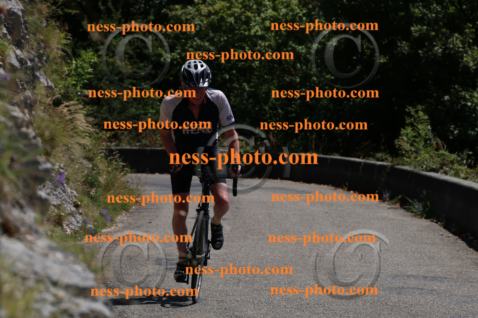 Col du Grand Colombier (313).JPG