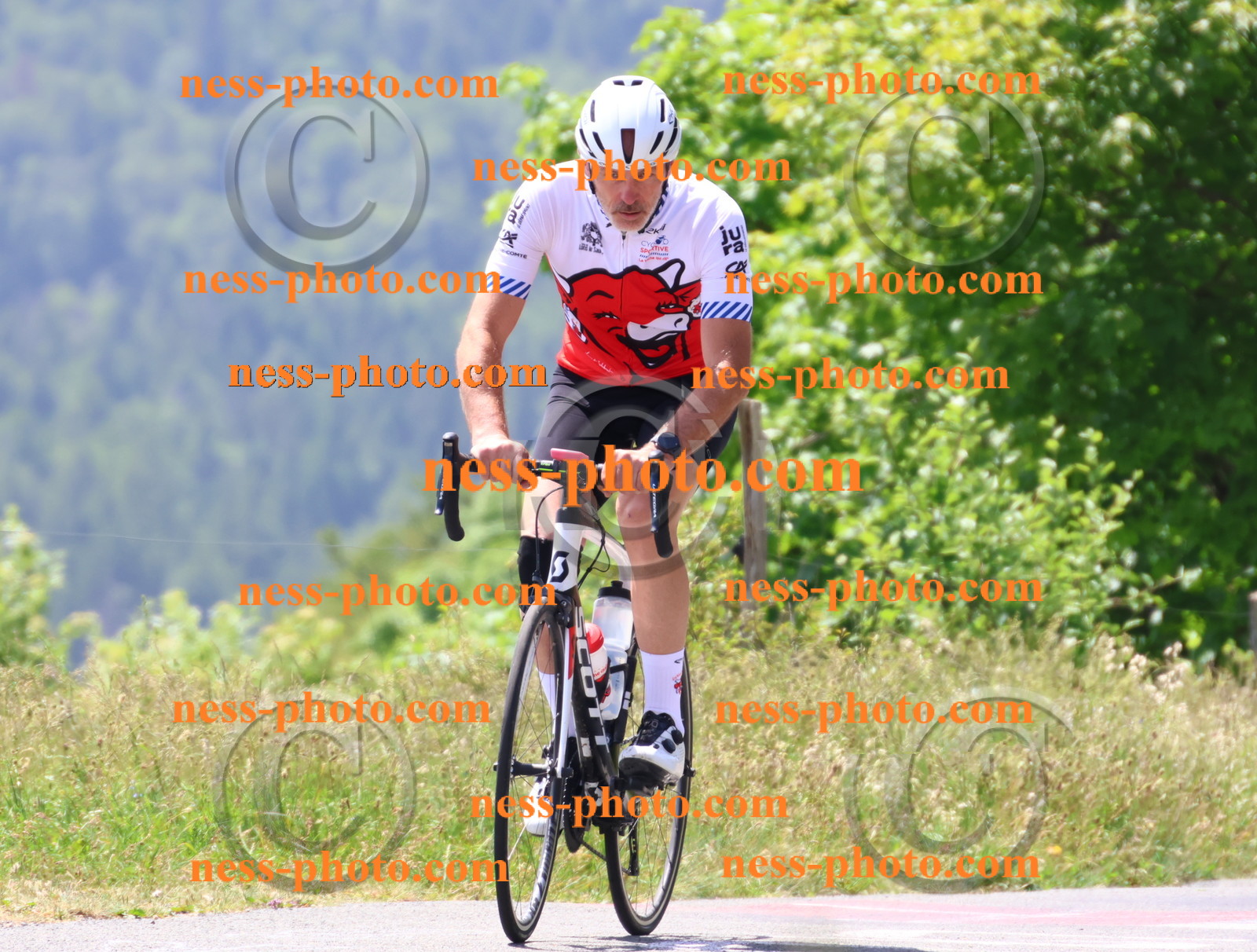 Col du grand Colombier (2534).JPG