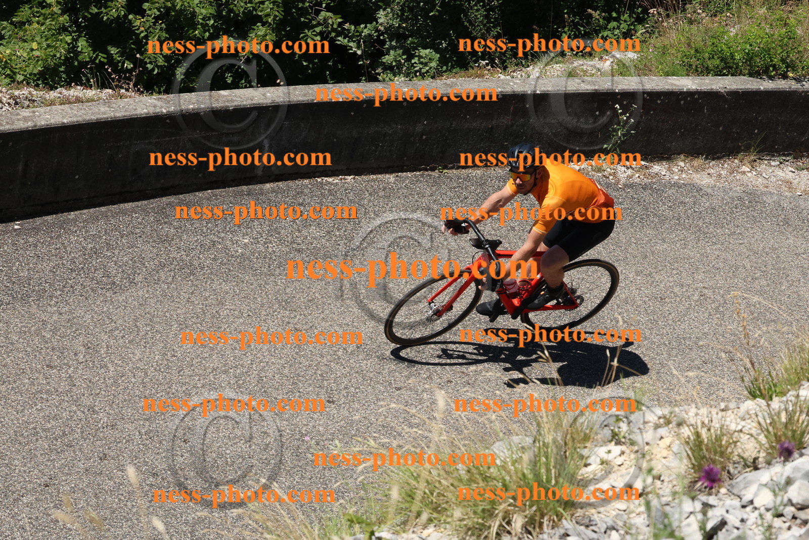 Col du Grand Colombier (574).JPG