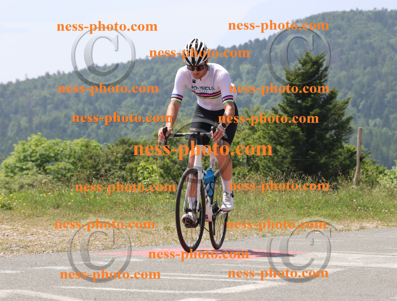 Col du grand Colombier (2147).JPG