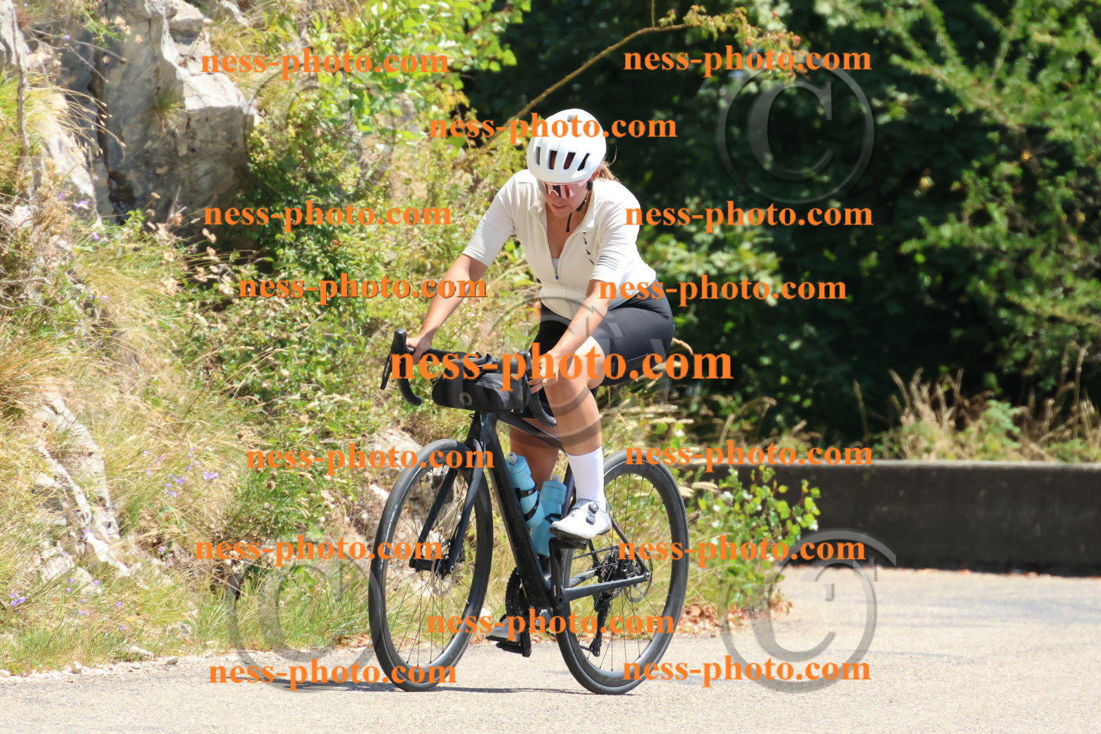 Col du Grand Colombier (466).JPG