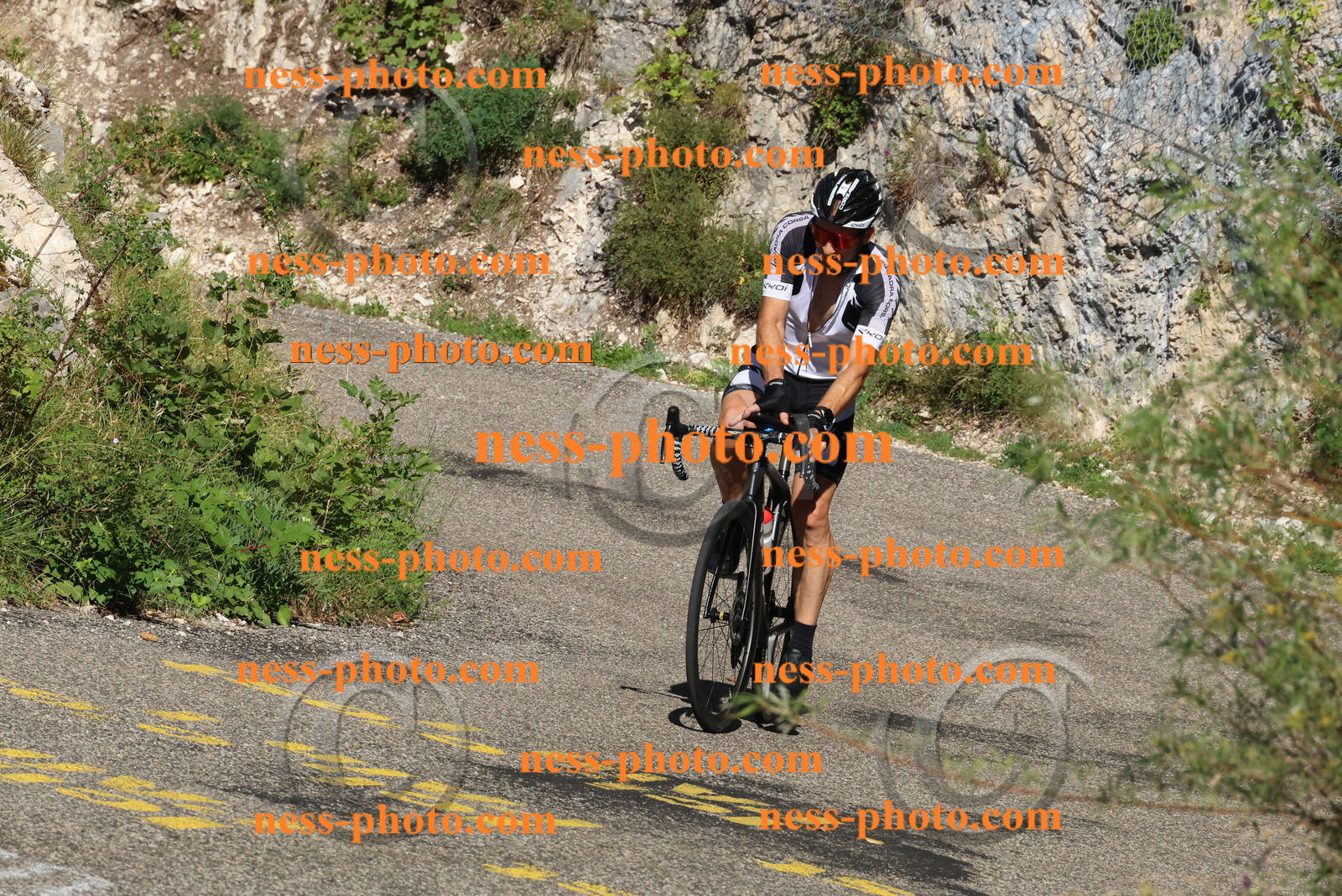 Col du Grand Colombier (245).JPG