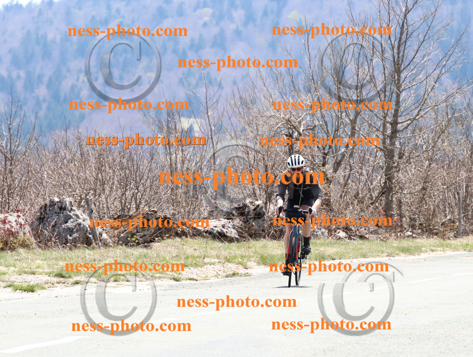 Col du Grand Colombier (326).JPG