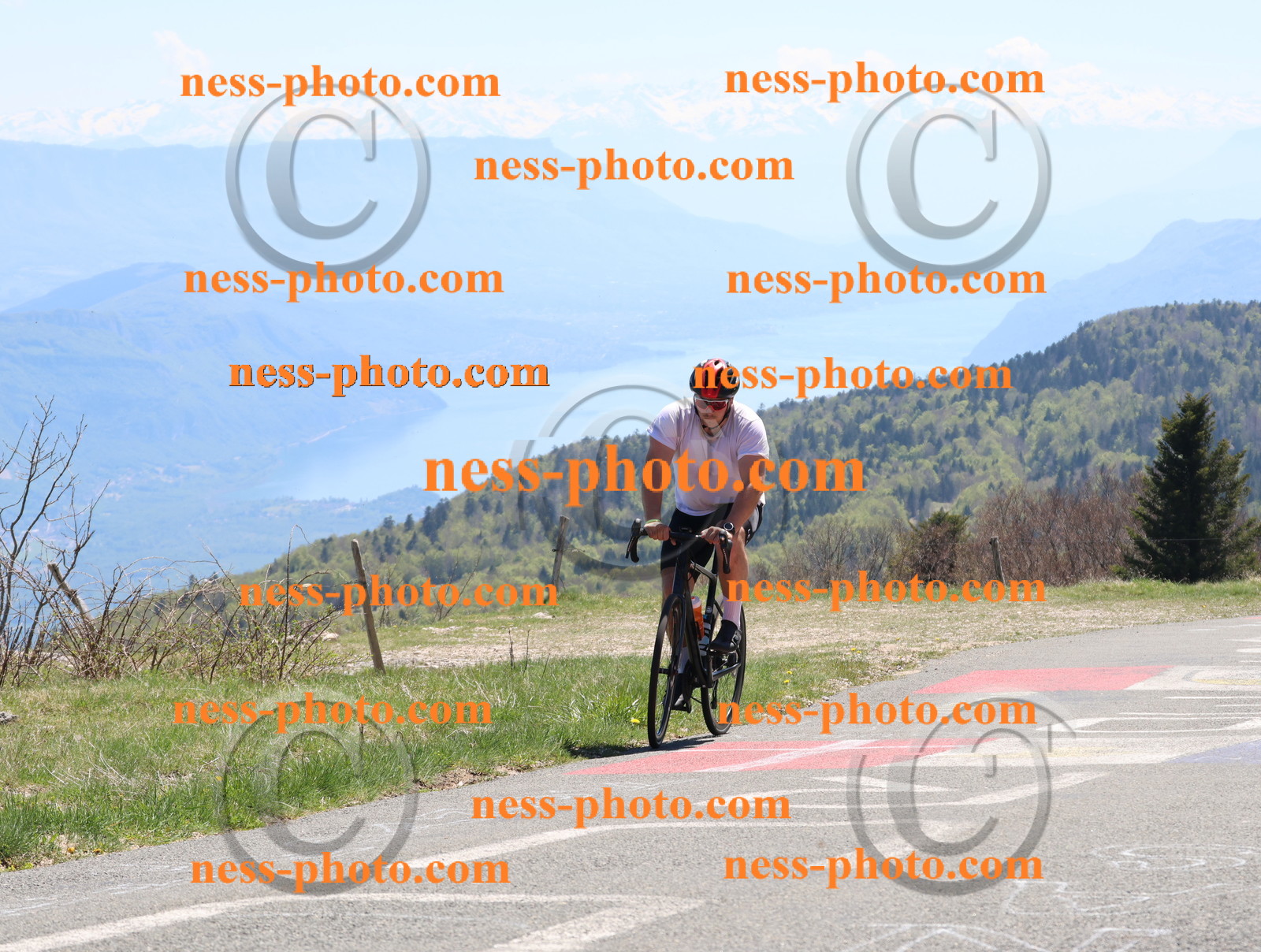 Col du Grand Colombier (750).JPG