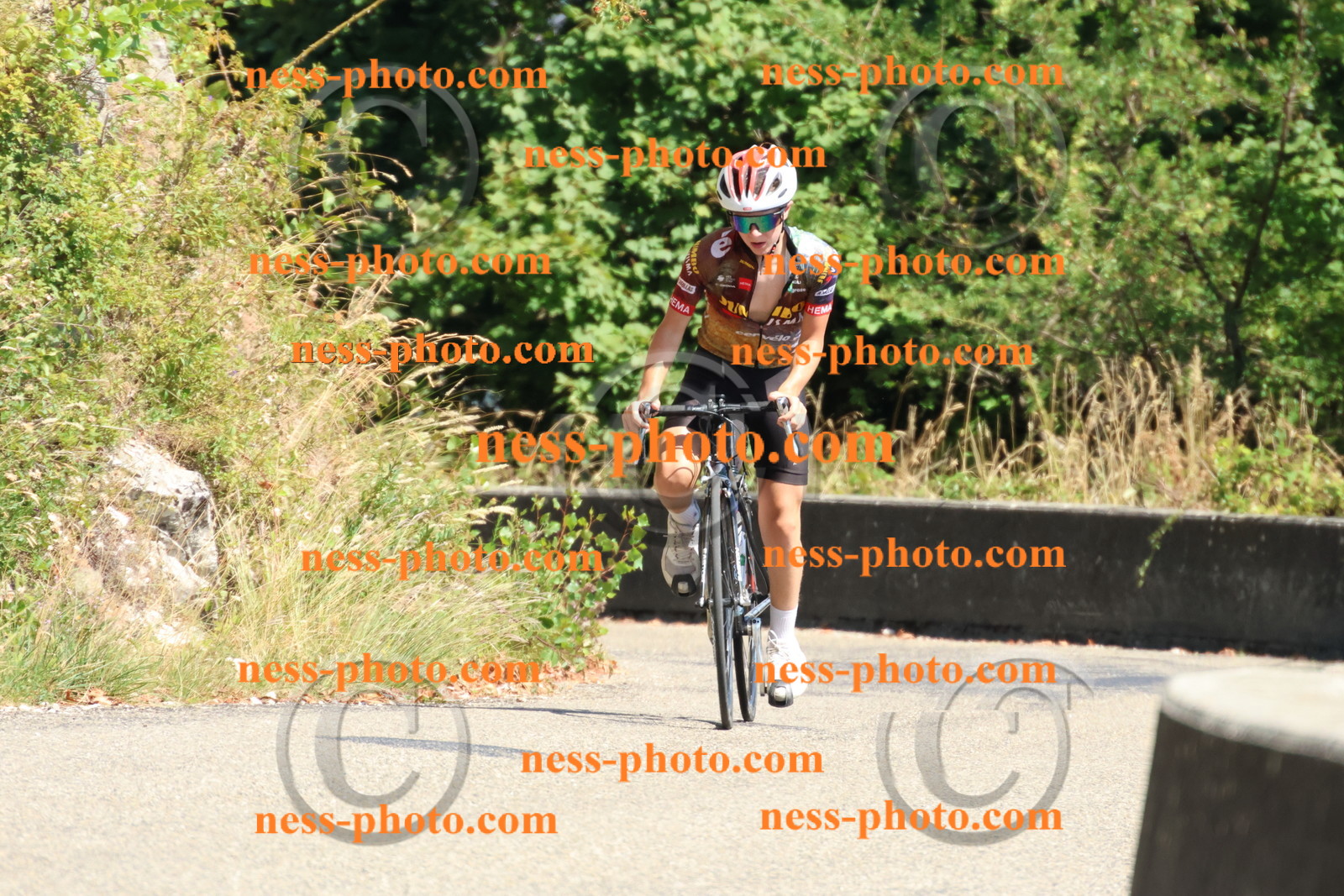 Col du Grand Colombier (619).JPG