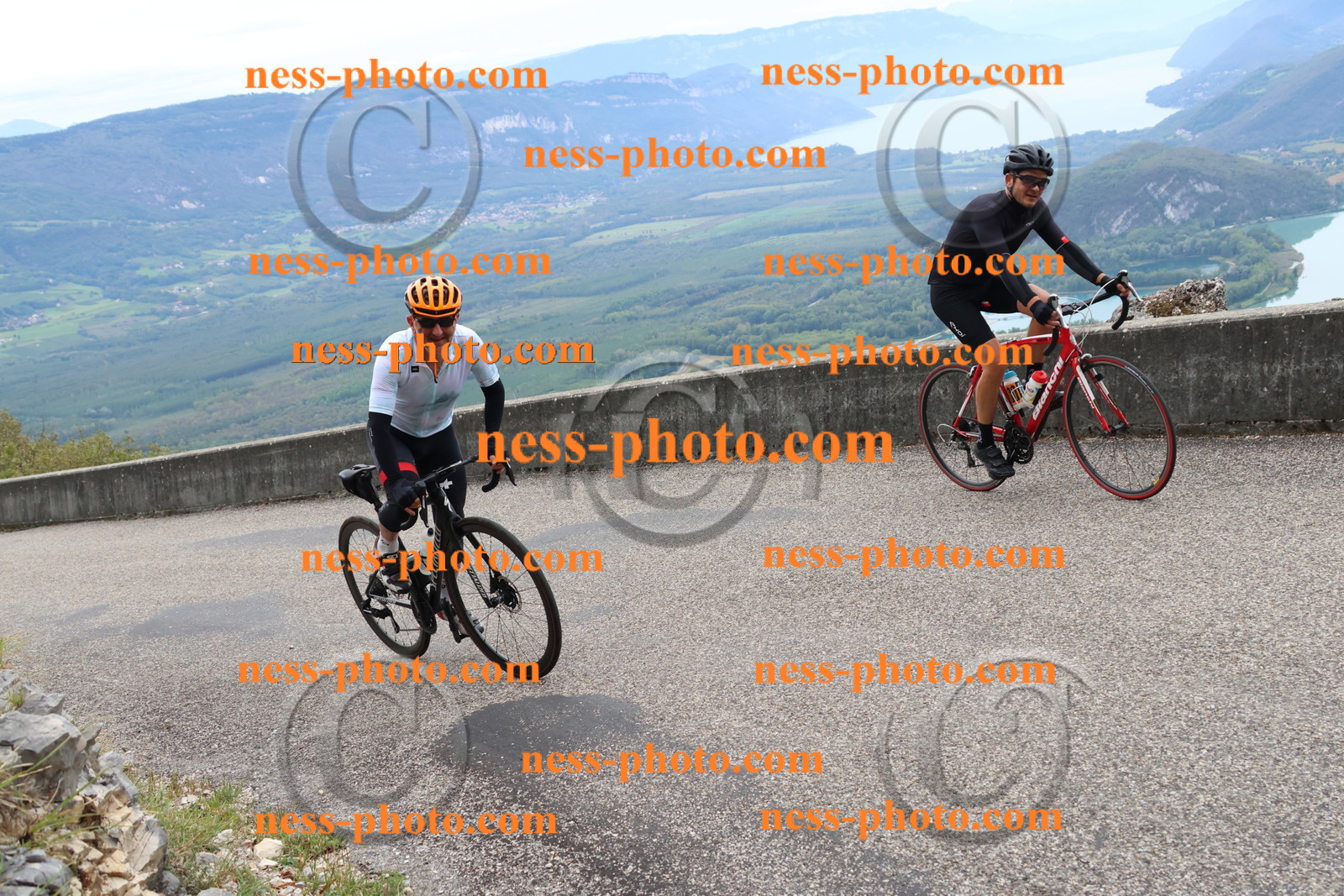 Col du Grand Colombier (1380).JPG