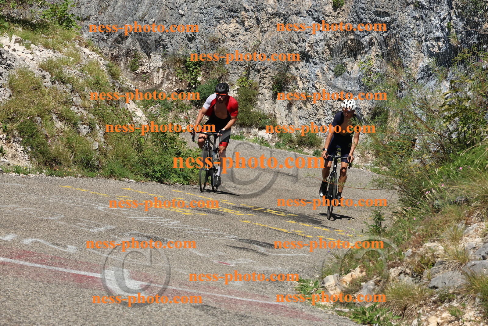 Col du Grand Colombier (400).JPG