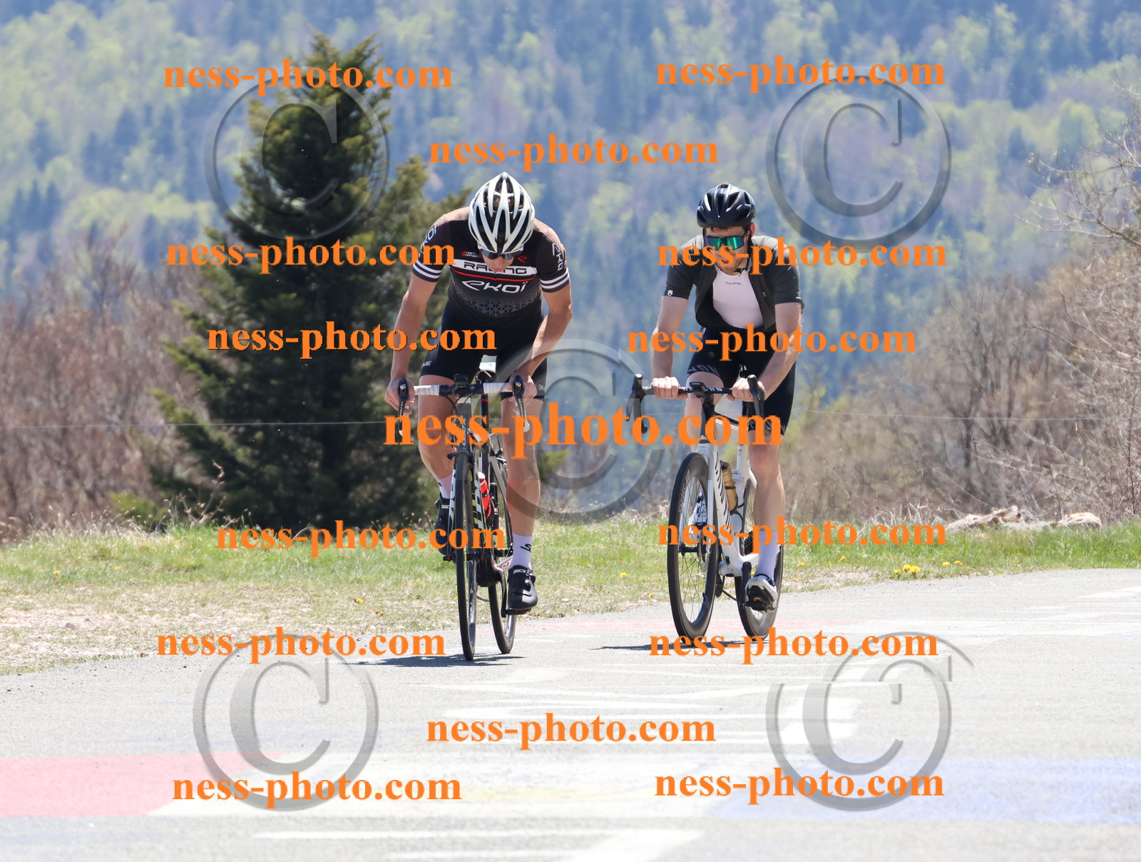 Col du Grand Colombier (692).JPG