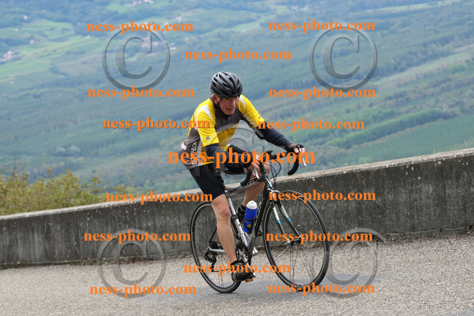 Col du Grand Colombier (1499).JPG