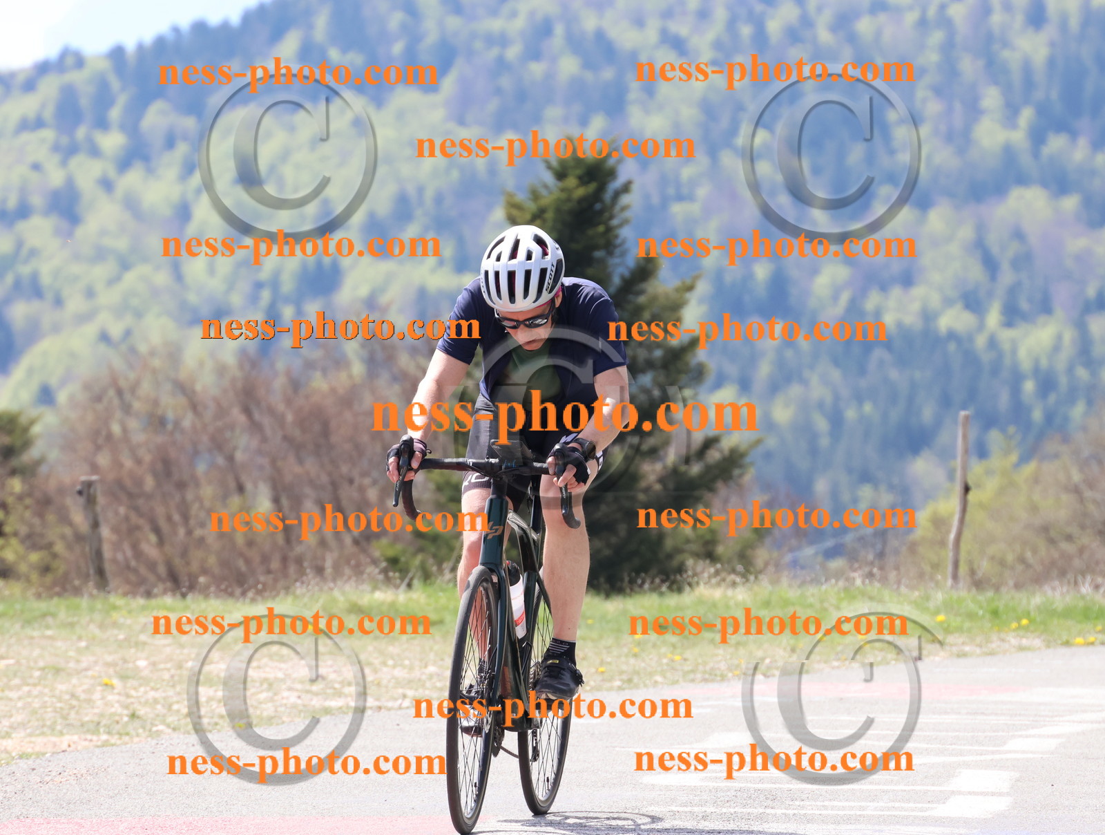 Col du Grand Colombier (57).JPG