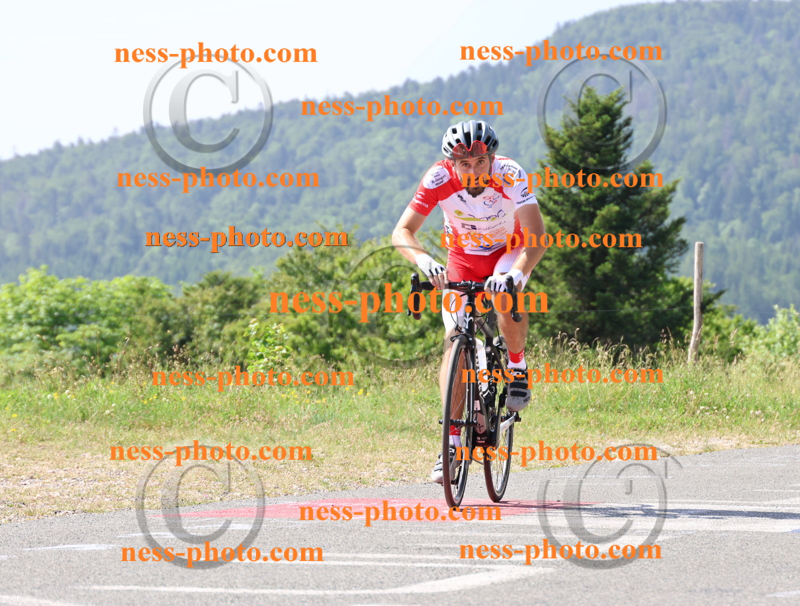 Col du grand Colombier (650).JPG