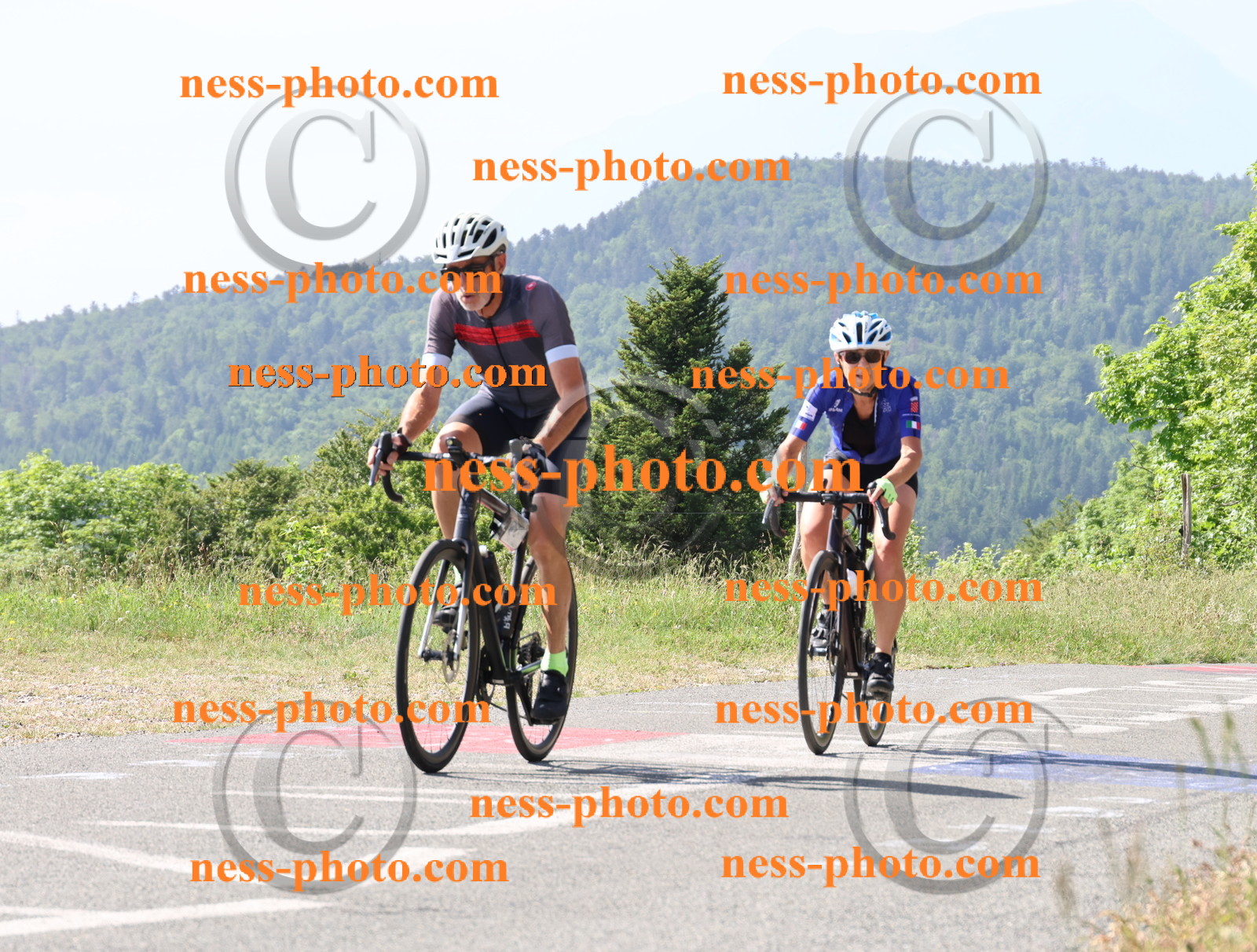 Col du grand Colombier (583).JPG