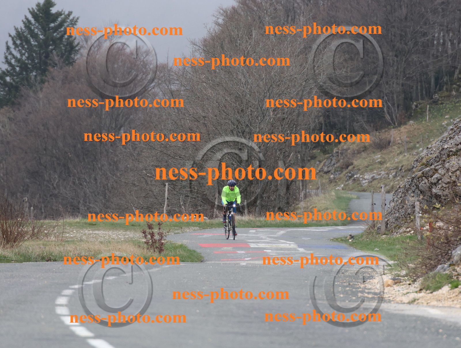 Col du Grand Colombier (5).JPG