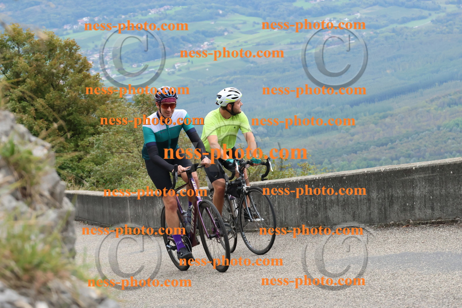 Col du Grand Colombier (919).JPG