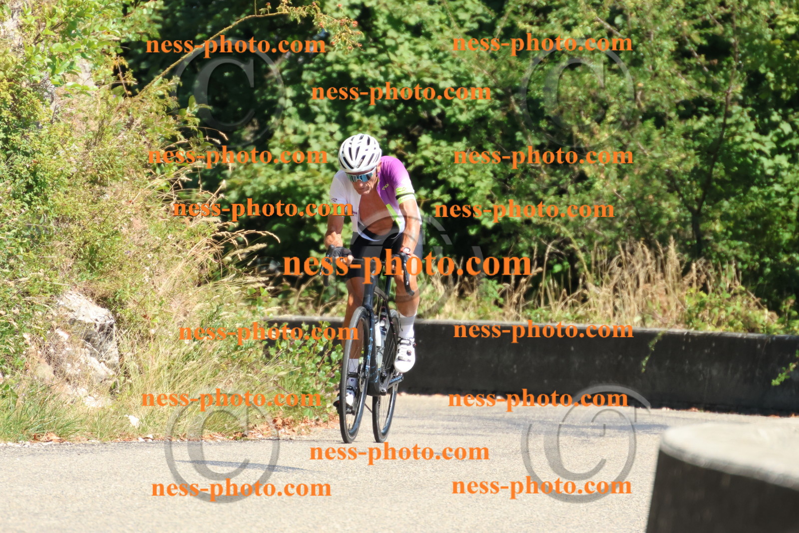 Col du Grand Colombier (637).JPG