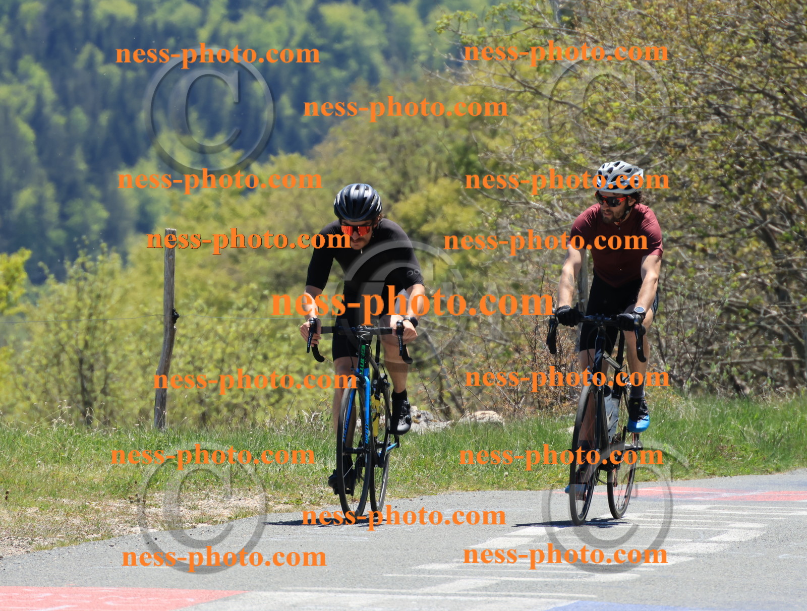 Col du Grand Colombier (442).JPG