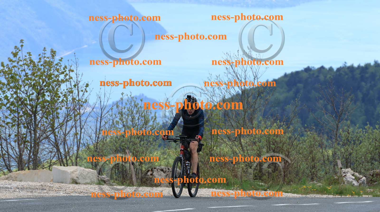 Col du grand Colombier (484).JPG