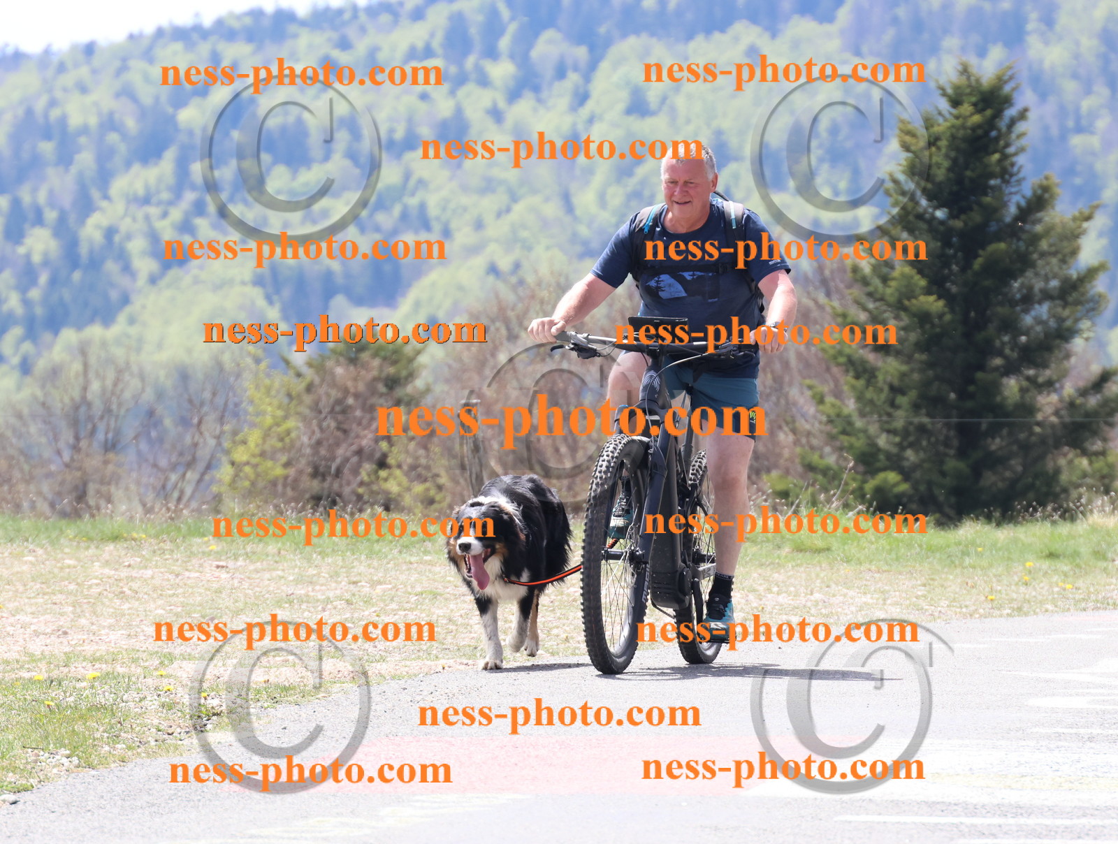 Col du Grand Colombier (124).JPG