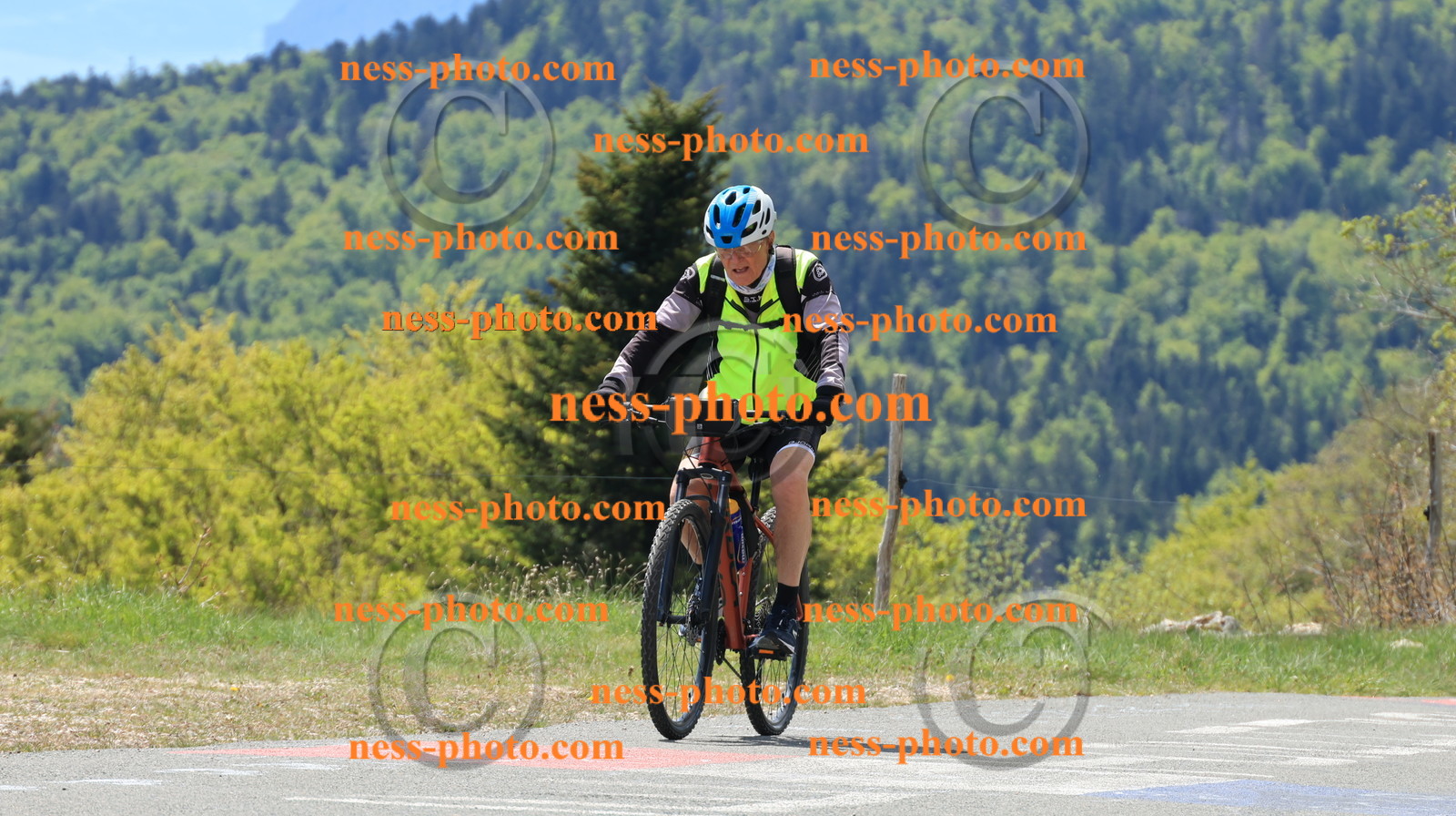 Col du grand Colombier (106).JPG