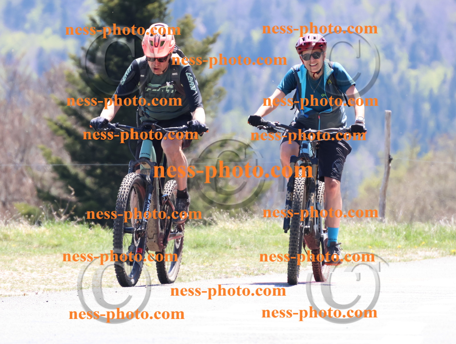 Col du Grand Colombier (734).JPG