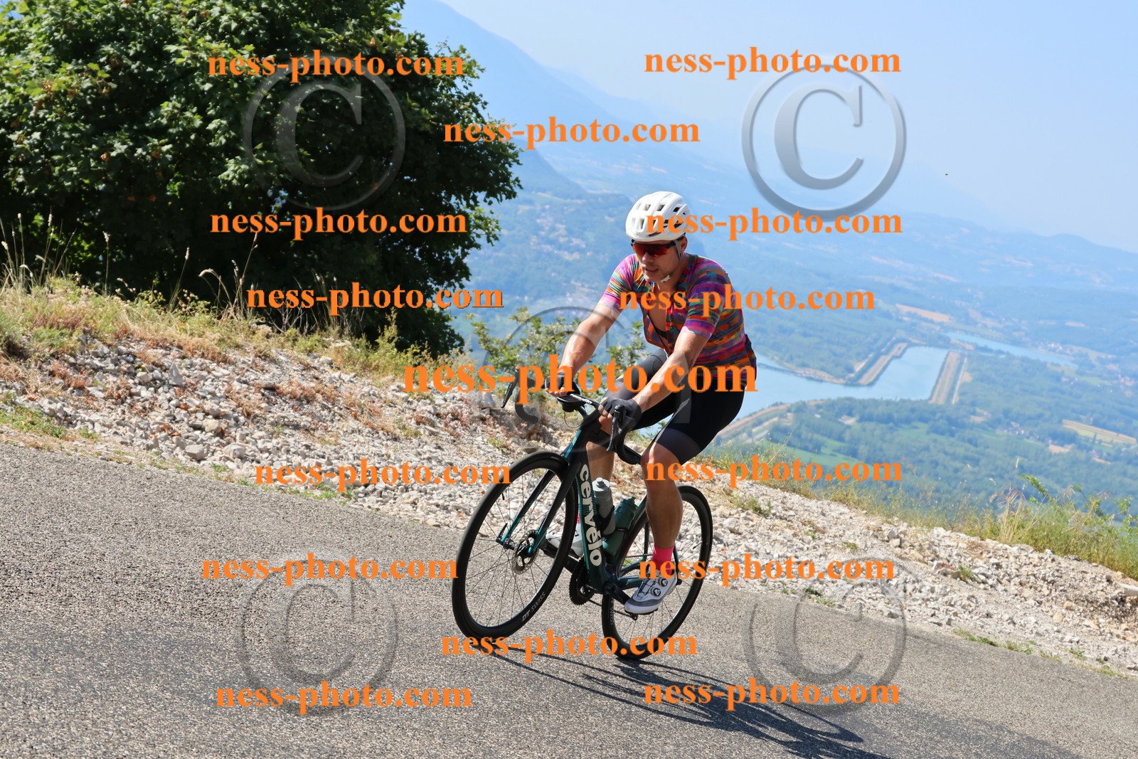 Col du Grand Colombier (248).JPG