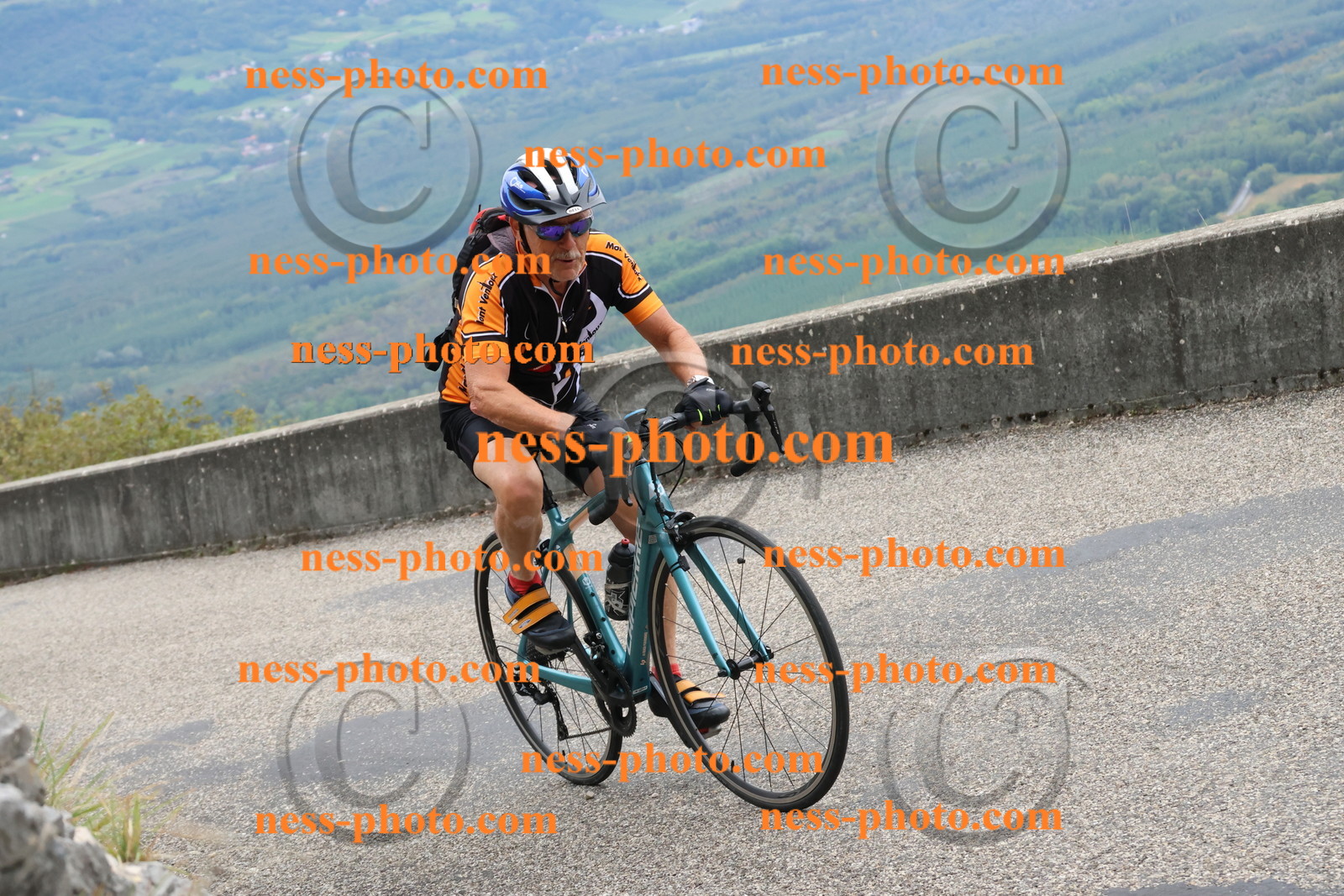 Col du Grand Colombier (1265).JPG