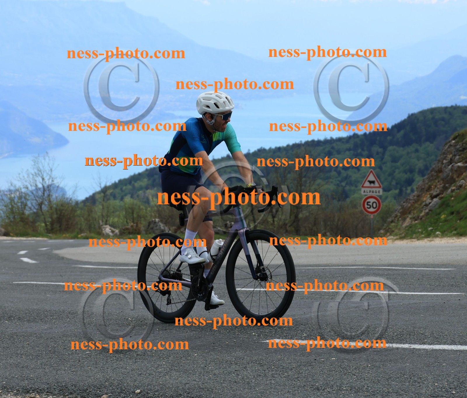 Col du grand Colombier (570).JPG