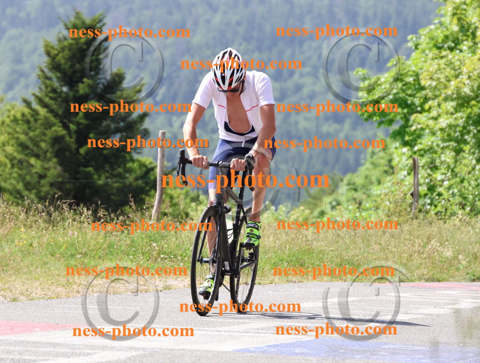 Col du grand Colombier (1272).JPG