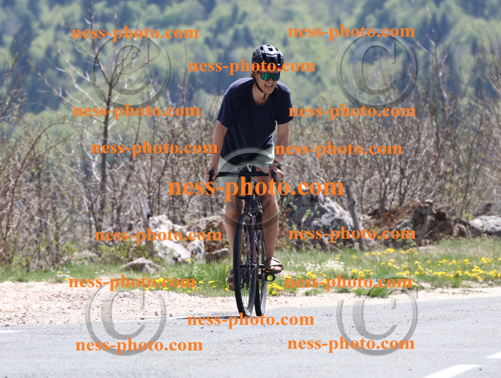 Col du Grand Colombier (705).JPG