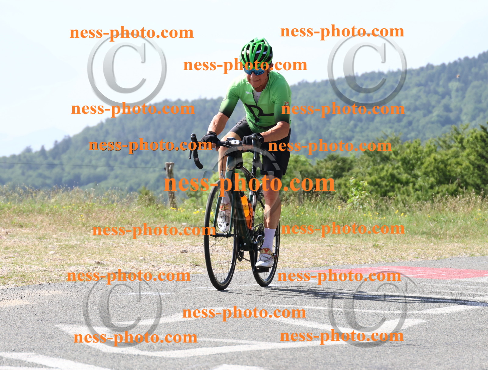 Col du grand Colombier (408).JPG