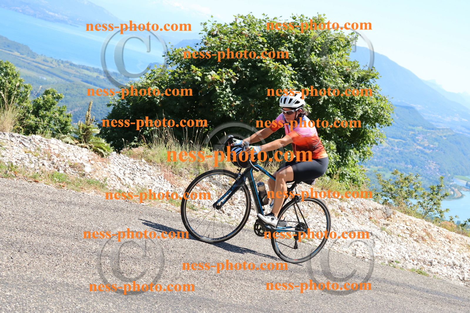 Col du Grand Colombier (342).JPG