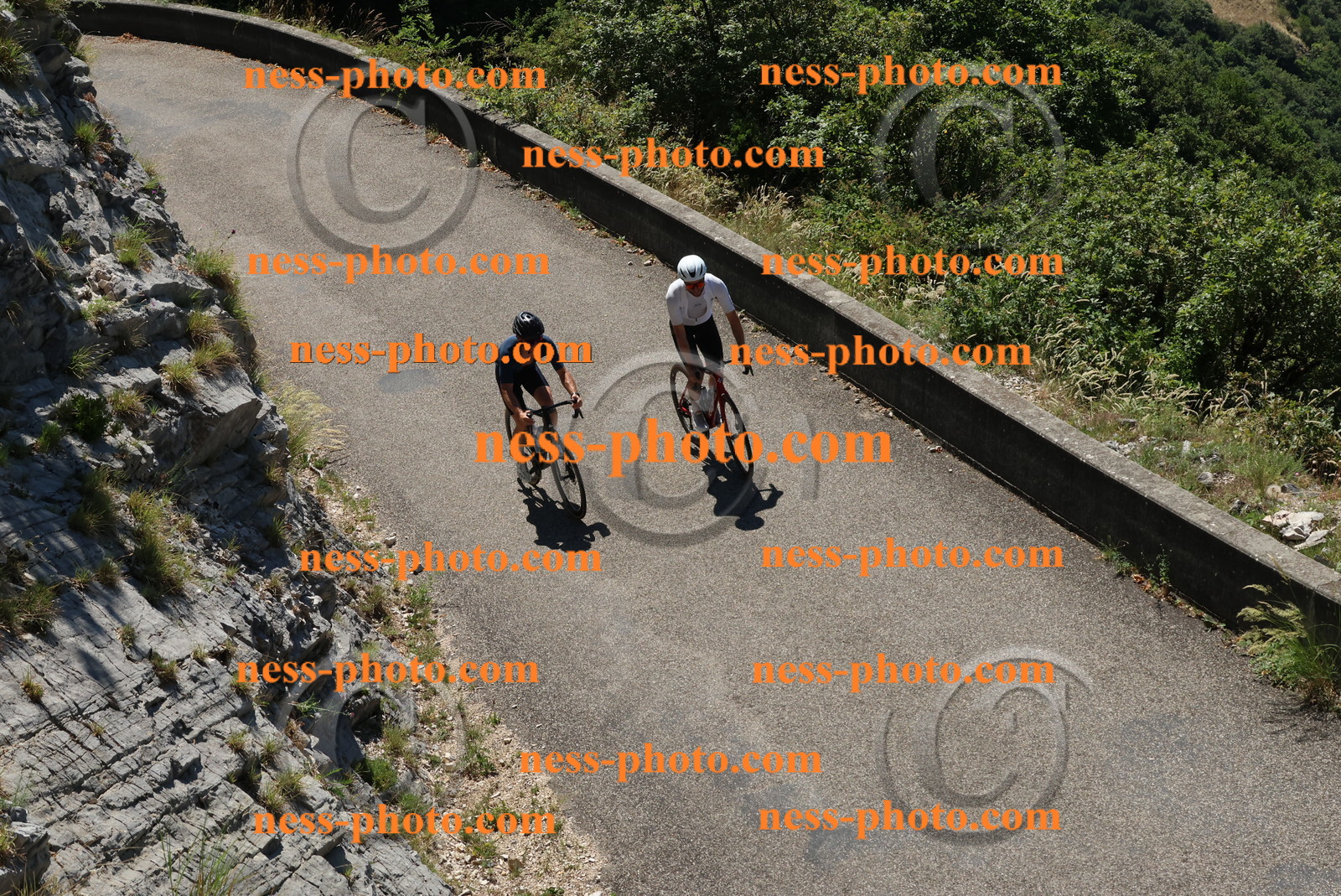 Col du Grand Colombier (362).JPG